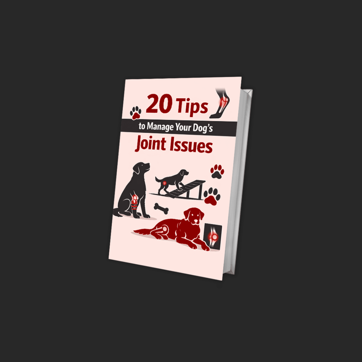 20 Tips to Manage Your Dog’s Joint Issues - RevoPet