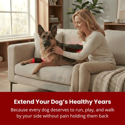 RevoPet™ | Red & Near - Infrared Light Therapy Pad - RevoPet